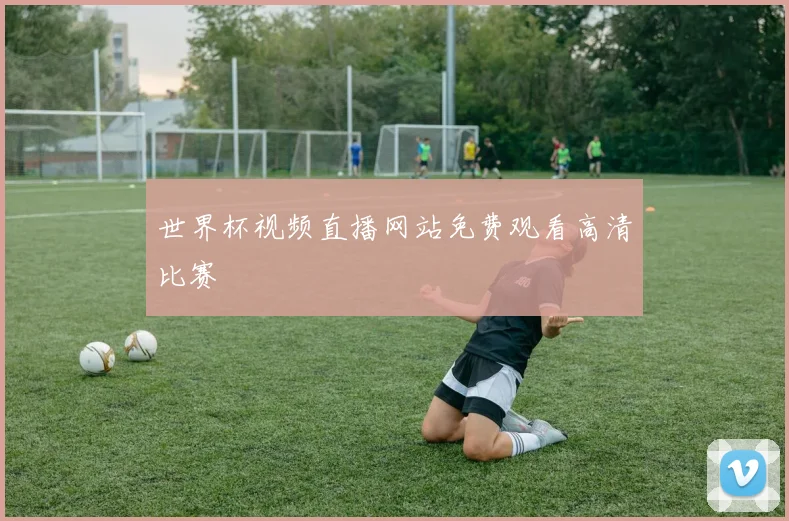 世界杯视频直播网站免费观看高清比赛